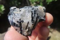 Natural Black Tourmaline On Quartz Matrix Specimens x 35 From Zimbabwe