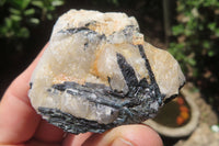 Natural Black Tourmaline On Quartz Matrix Specimens x 35 From Zimbabwe