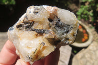 Natural Black Tourmaline On Quartz Matrix Specimens x 35 From Zimbabwe