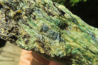 Natural Kyanite In Fuchsite Matrix Specimens x 2 From Zimbabwe