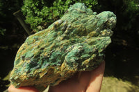 Natural Kyanite In Fuchsite Matrix Specimens x 2 From Zimbabwe