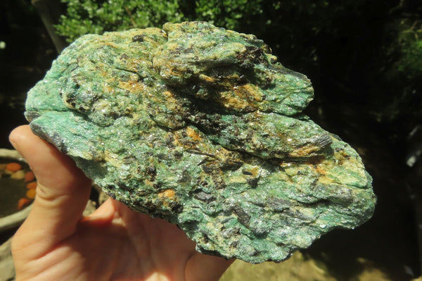 Natural Kyanite In Fuchsite Matrix Specimens x 2 From Zimbabwe