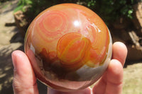 Polished Polychrome Jasper Spheres x 2 From Zimbabwe