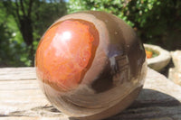 Polished Polychrome Jasper Spheres x 2 From Zimbabwe