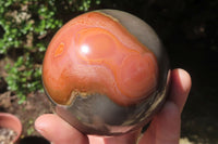 Polished Polychrome Jasper Spheres x 2 From Zimbabwe