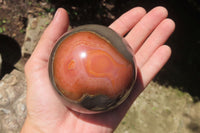 Polished Polychrome Jasper Spheres x 2 From Zimbabwe