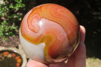 Polished Polychrome Jasper Spheres x 2 From Zimbabwe