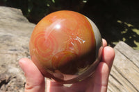 Polished Polychrome Jasper Spheres x 2 From Zimbabwe