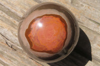 Polished Polychrome Jasper Spheres x 2 From Zimbabwe