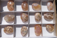 Polished Flower Agate Palm Stones x 12 From Madagascar