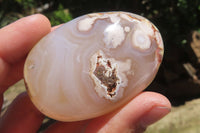 Polished Flower Agate Palm Stones x 12 From Madagascar