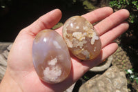 Polished Flower Agate Palm Stones x 12 From Madagascar