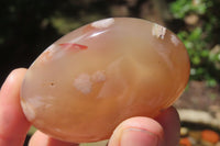 Polished Flower Agate Palm Stones x 12 From Madagascar