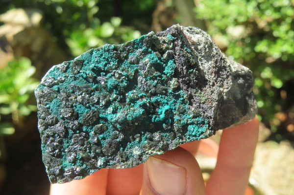 Natural Libethenite Crystals On Dolomite Matrix Specimens x 6 From Shituru, Congo