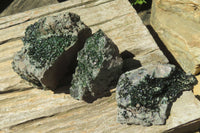 Natural Libethenite Crystals On Dolomite Matrix Specimens x 6 From Shituru, Congo