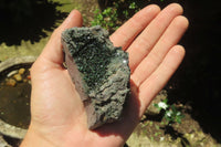 Natural Libethenite Crystals On Dolomite Matrix Specimens x 6 From Shituru, Congo