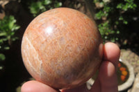 Polished Peach Moonstone Spheres x 2 From Madagascar