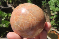 Polished Peach Moonstone Spheres x 2 From Madagascar