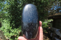 Polished Black Tourmaline Standing Free Form x 1 From Madagascar