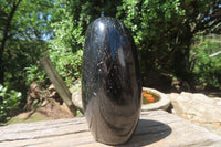 Polished Black Tourmaline Standing Free Form x 1 From Madagascar