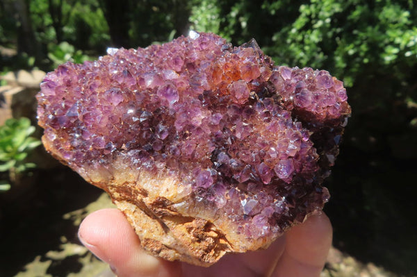 Natural Amethystos Amethyst Clusters x 6 From Kwaggafontein, South Africa