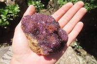 Natural Amethystos Amethyst Clusters x 6 From Kwaggafontein, South Africa