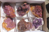 Natural Amethystos Amethyst Clusters x 6 From Kwaggafontein, South Africa