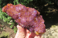 Natural Amethystos Amethyst Clusters x 6 From Kwaggafontein, South Africa