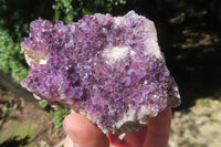 Natural Amethystos Amethyst Clusters x 6 From Kwaggafontein, South Africa