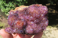 Natural Amethystos Amethyst Clusters x 6 From Kwaggafontein, South Africa