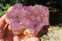 Natural Amethystos Amethyst Clusters x 6 From Kwaggafontein, South Africa