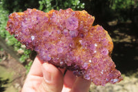 Natural Amethystos Amethyst Clusters x 6 From Kwaggafontein, South Africa