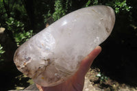 Polished Smokey Window Quartz Standing Free Form x 1 From Madagascar