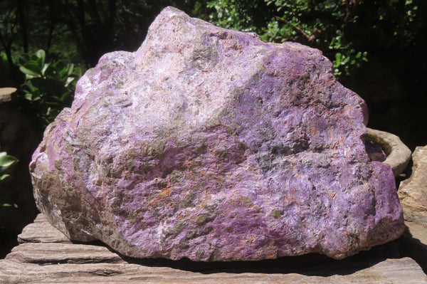 Natural Stichtite Specimen x 1 From Barberton, South Africa