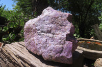 Natural Stichtite Specimen x 1 From Barberton, South Africa