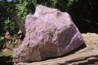 Natural Stichtite Specimen x 1 From Barberton, South Africa