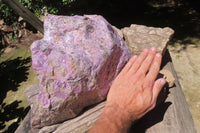 Natural Stichtite Specimen x 1 From Barberton, South Africa