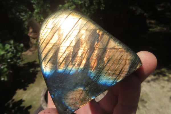 Polished Labradorite Standing Free Forms x 6 From Tulear, Madagascar