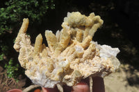 Natural Fairy Spirit Quartz Clusters x 3 From Boekenhouthoek, South Africa