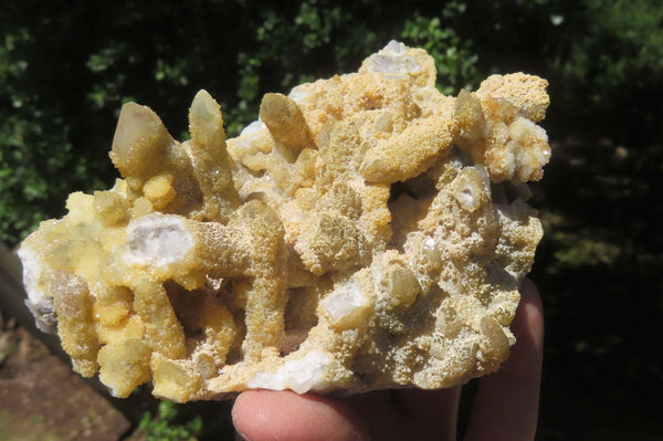 Natural Fairy Spirit Quartz Clusters x 3 From Boekenhouthoek, South Africa