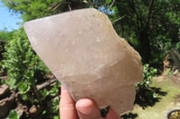 Polished Partially Arcadian Quartz Crystal x 1 From Angola