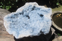 Natural Celestite Geode Specimen x 1 From Sakoany, Madagascar