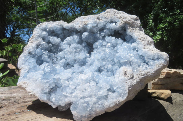 Natural Celestite Geode Specimen x 1 From Sakoany, Madagascar