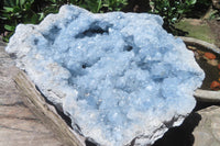 Natural Celestite Geode Specimen x 1 From Sakoany, Madagascar