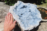 Natural Celestite Geode Specimen x 1 From Sakoany, Madagascar