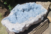 Natural Celestite Geode Specimen x 1 From Sakoany, Madagascar