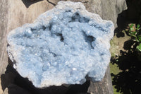 Natural Celestite Geode Specimen x 1 From Sakoany, Madagascar