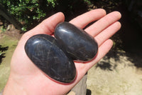 Polished Pharaoh Stone Palm Stones x 12 From Zimbabwe