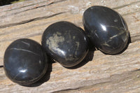 Polished Pharaoh Stone Palm Stones x 12 From Zimbabwe