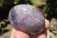 Polished Lepidolite with Pink Rubellite Palm Stones x 12 From Ambatondrazaka, Madagascar